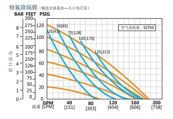 wilden中文樣冊-19-2 (1).jpg